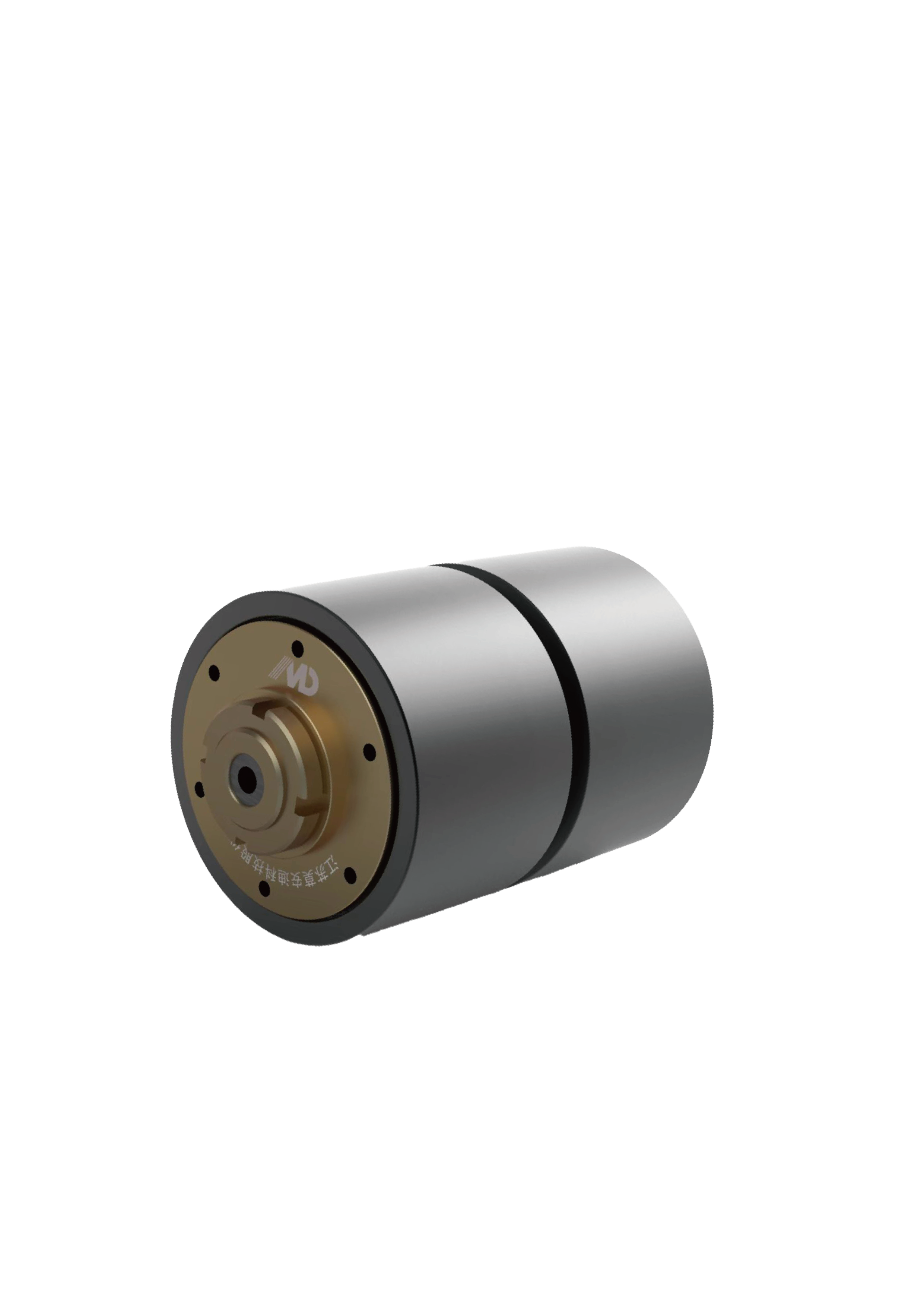 DC&AC Stainless Steel Motorized Rollers