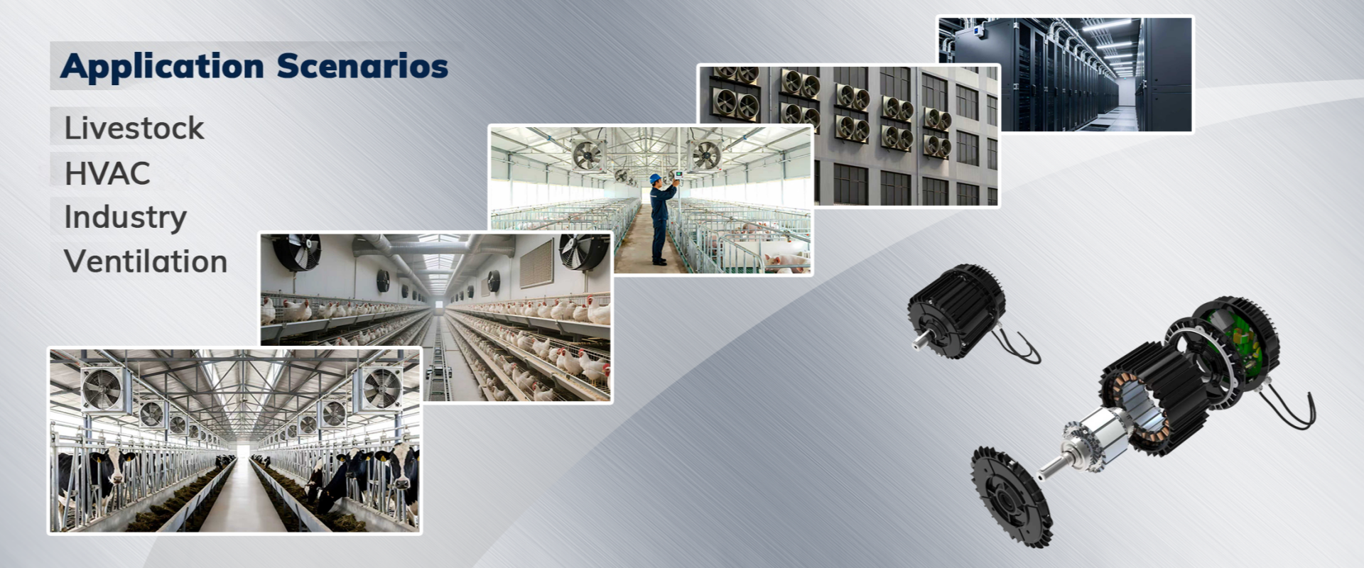 主图2_英文_副本