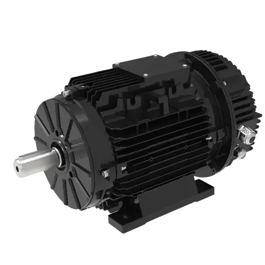  T-Series ECI motor 